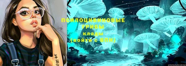 спайс Аркадак