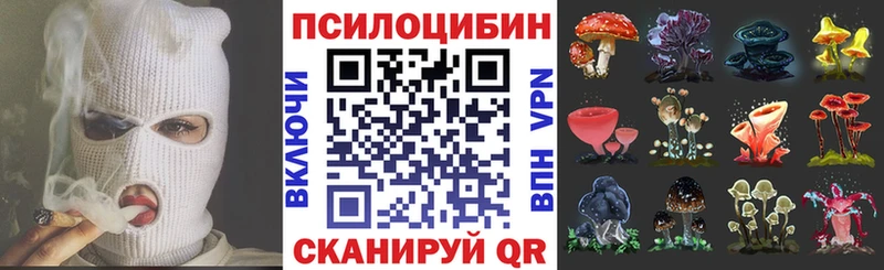 Галлюциногенные грибы мицелий  ссылка на мегу tor  Скопин 